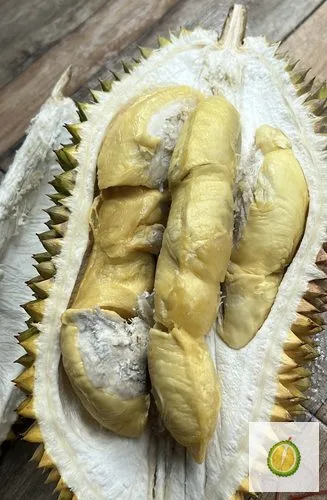 Durian Lokal Unggul
