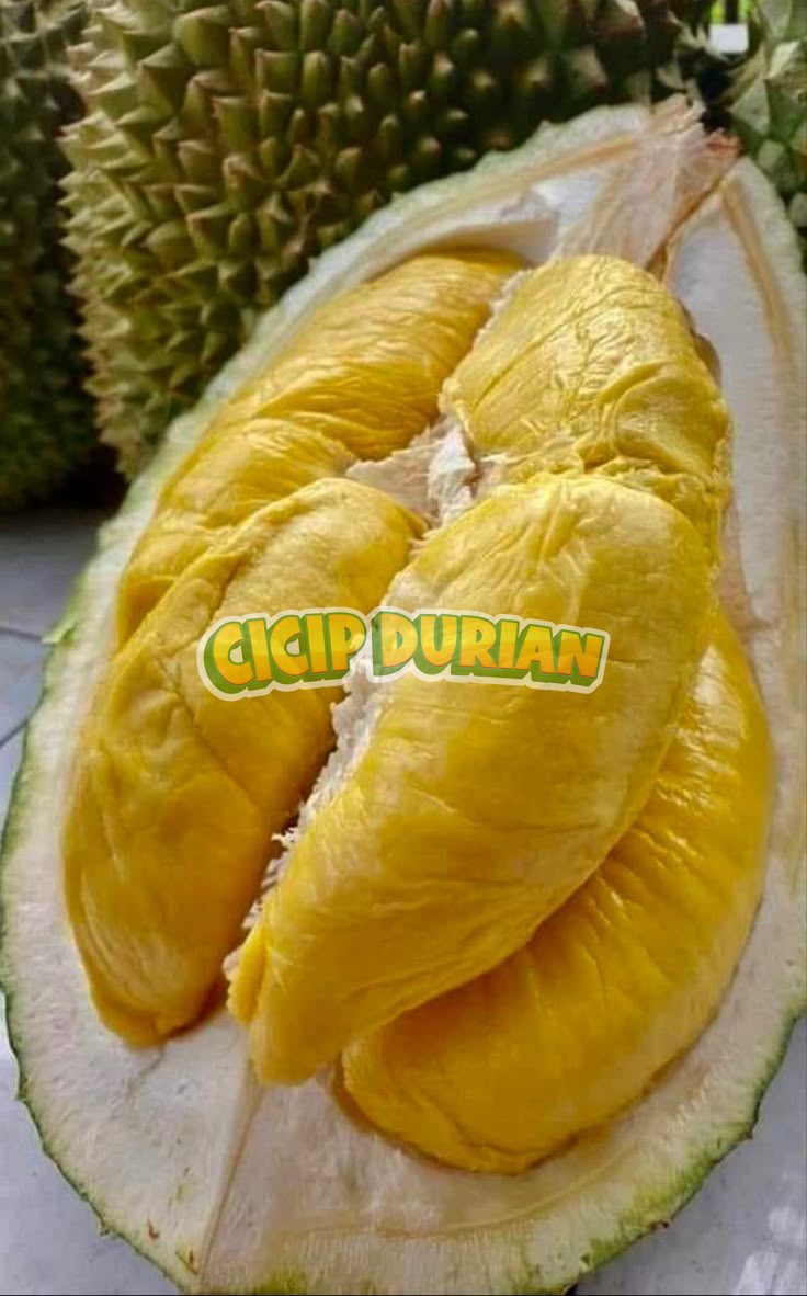 Durian Musang King D197