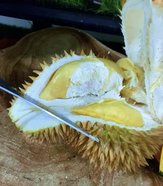 Durian Ripto kualitas premium Cicip Durian
