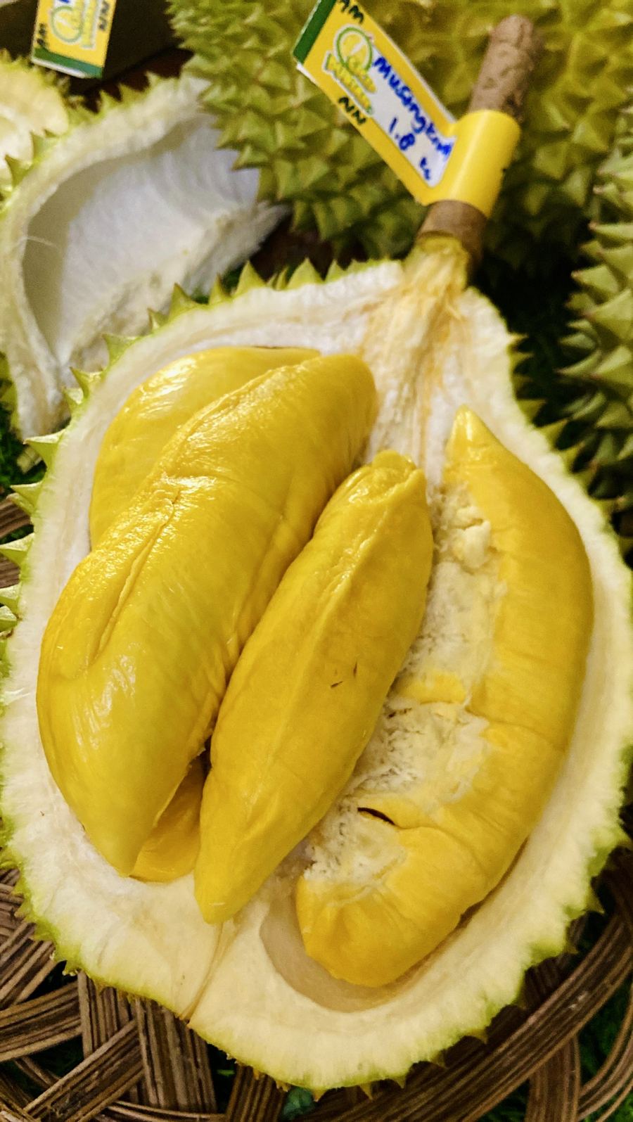 Stok durian segar minggu ini di Cicip Durian