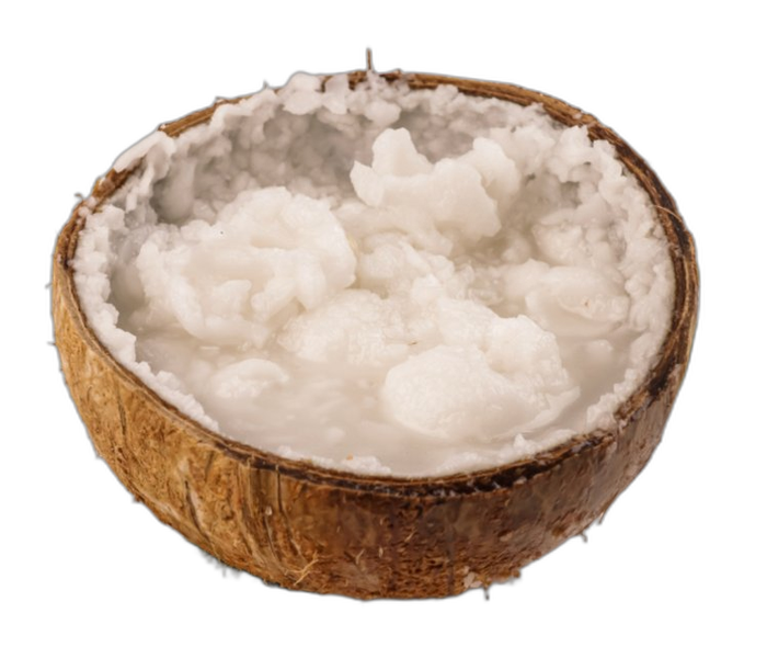 Kelapa Kopyor