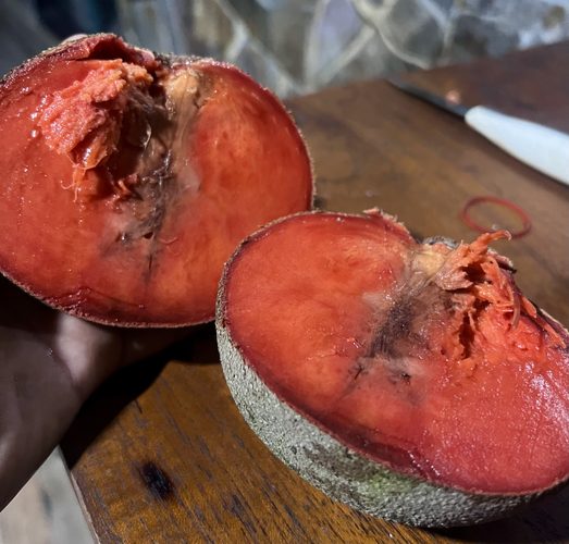 Mamey Sapote