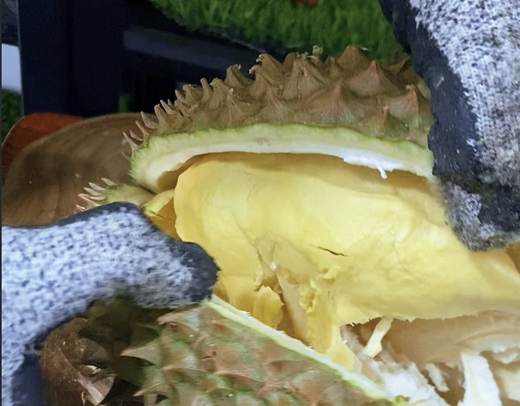 Durian Monthong Jawa asal Pulau Jawa