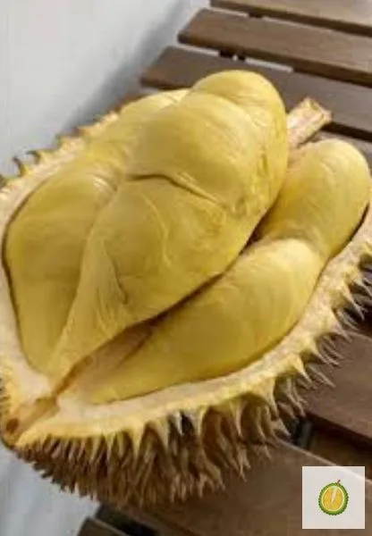 Monthong Palu