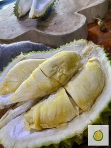 Musang King Nitrogen N2