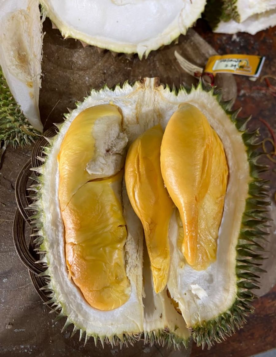 Durian Masmuar segar tersedia di Cicip Durian untuk area Jakarta Utara