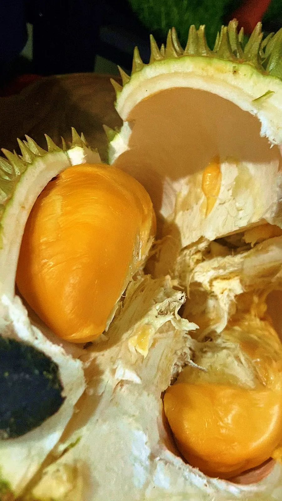 Durian premium Cicip Durian, peluang kerjasama reseller supplier franchise