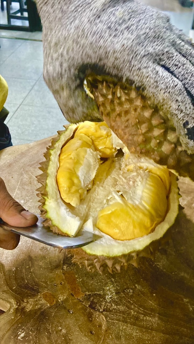 QC Durian Bawor — daging orange tebal lolos seleksi Cicip Durian