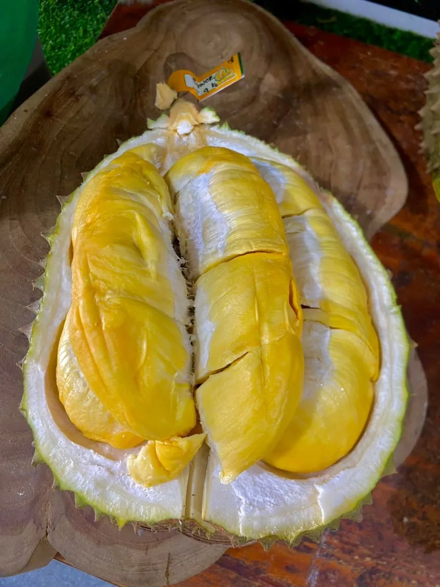 Durian Bawor daging tebal kuning orange, produk premium Cicip Durian