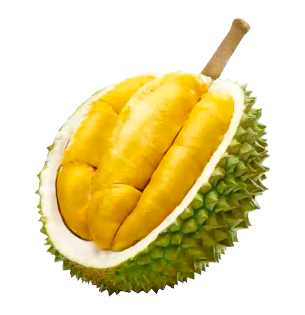 Durian Bawor